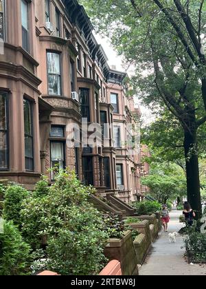 Bâtiments Brownestone classiques dans le quartier résidentiel de Park Slope à Brooklyn, New York. Banque D'Images