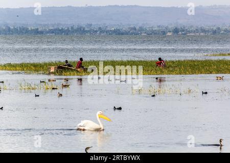 HAWASSA, ETHIOPIE - 28 JANVIER 2020 : pêcheurs au lac Awassa, Ethiopie Banque D'Images