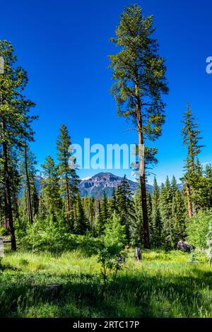 Williams Reservoir et Creek sont dans la nature sauvage entre Pagosa Springs et Lake City Banque D'Images