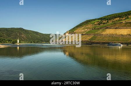 Vue du Rhin-Nahe-Eck à Bingen sur le Rhin à la Tour de la souris, les ruines du château d'Ehrenfels et les vignobles de Niederwald, Haut Moyen RHI Banque D'Images