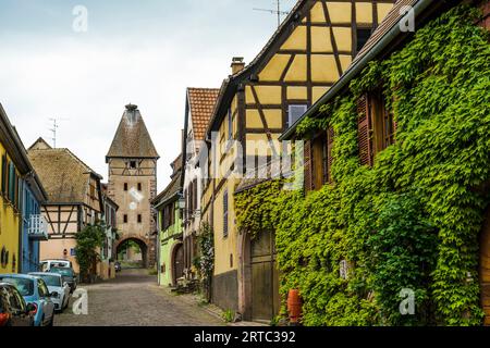 Maisons médiévales à colombages colorées, Ammerschwihr, Grand est, Haut-Rhin, Alsace, France Banque D'Images