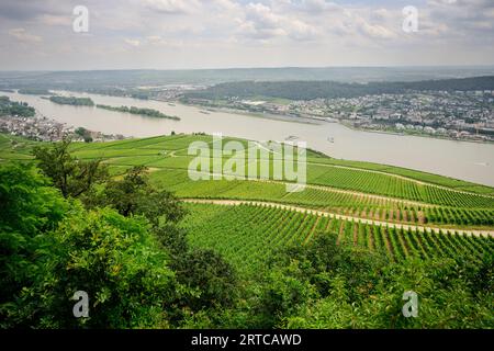 Patrimoine mondial de l'UNESCO "Vallée du Rhin moyen supérieur", monument Niederwald, Ruedesheim am Rhein, district de Rheingau-Taunus, Hesse, Allemagne, Europ Banque D'Images