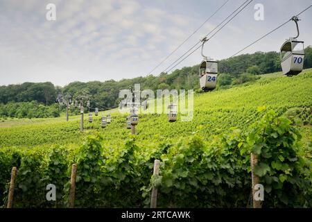 Patrimoine mondial de l'UNESCO "Vallée du Rhin moyen supérieur", téléphérique au-dessus des vignobles jusqu'au monument Niederwald, Ruedesheim am Rhein, Rheingau-Ta Banque D'Images