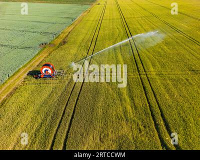 Irrigation avec un système d'irrigation sur un champ de céréales en été sec comme une image de drone d'en haut Banque D'Images