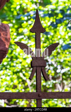 Une vieille décoration de porte en fer forgé rouillé maintenant lacée avec des toiles d'araignée, sur un fond vert flou. Banque D'Images