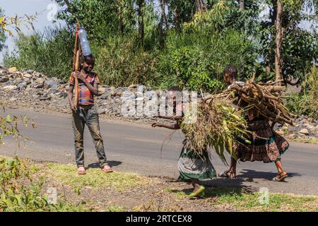 KONSO, ETHIOPIE - 7 FÉVRIER 2020 : enfants transportant du bois de feu près de Konso, Ethiopie Banque D'Images