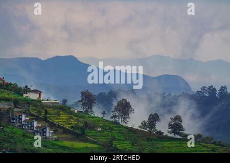 Vue aérienne de la station de colline sud indienne et couvert de brouillard pendant la soirée avec des arbres et des plantes autour d'elle. Station Kodaikanal Hills Banque D'Images