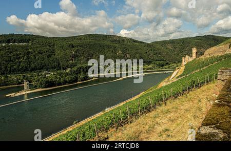 Vue sur les vignobles près de Rüdesheim aux ruines du château d'Ehrenfels et la Tour de la souris, Haut Moyen Rhin Vallée, Hesse / Rhénanie-Palatinat, GE Banque D'Images