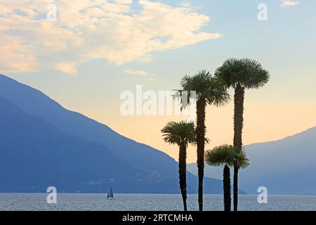 Vue sur le lac majeur depuis la promenade du lac à Ascona, Tessin, Suisse Banque D'Images