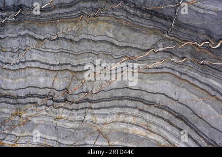 Micro-plis sur roche métemorphe avec veines de quartz. Cette photo a été prise à Cala Rovellada, province de Gérone, Catalogne, Espagne. Banque D'Images