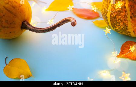 Citrouilles d'automne et feuilles d'automne jaunes sur fond bleu clair comme décorations pour le jour d'action de grâce; bannière d'action de grâce avec espace pour les copies; Banque D'Images