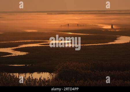 Scène tranquille à la réserve naturelle d'Elmley au coucher du soleil, île de Sheppey, Kent, Angleterre Banque D'Images