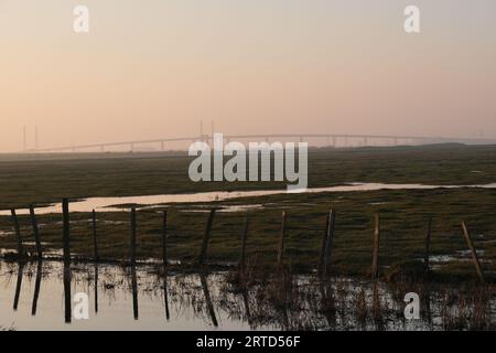 Réserve naturelle d'Elmley avec pont Kingsferry au loin, île de Sheppey, Kent, Angleterre Banque D'Images