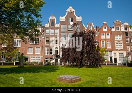 Les maisons historiques dans le Begijnhof, Amsterdam, Pays-Bas Banque D'Images
