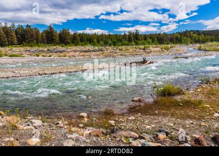 Swiftcurrent river dans de nombreux domaine de la Vallée des Glaciers Le parc national de Glacier dans le Montana. Banque D'Images