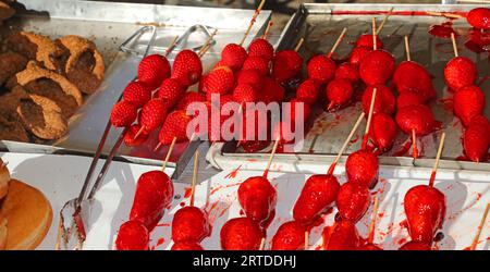 brochettes de grandes fraises rouges mûres caramélisées avec sucre sur le dessus pour la vente dans la caniculture Banque D'Images