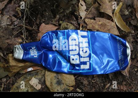 Bouteille d'interdiction de bière en aluminium Bud légère écrasée à Camp Ground Road Woods à des Plaines, Illinois Banque D'Images