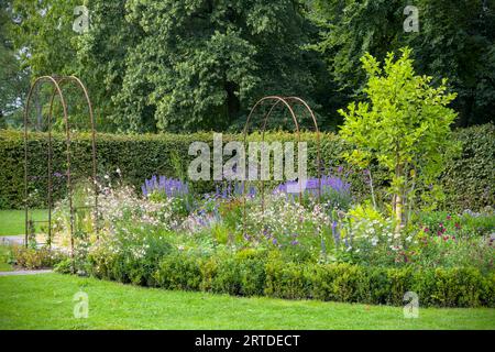 herbe riche et légère avec des fleurs rouges dans un jardin rural sauvage Banque D'Images