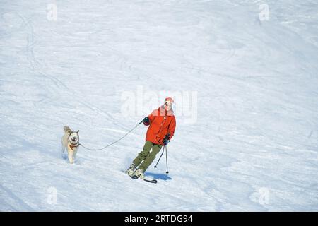 Gudauri, Géorgie - 25th mars 2022 : un homme sur une piste de ski avec un chien de race husky sur une laisse ensemble, amusez-vous sur une destination de vacances d'hiver. Do actif Banque D'Images