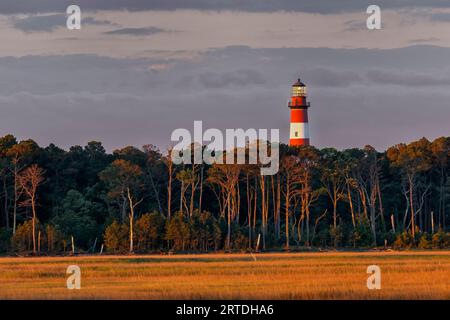 Lumière matinale sur le phare d'Assateague, Assateague Island National Seashore, Chincoteague, Virginie, États-Unis Banque D'Images