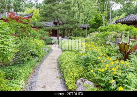 Sentier traversant le jardin chinois à Haren, pays-Bas Banque D'Images