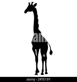 Silhouette noire d'une girafe isolée Illustration de Vecteur