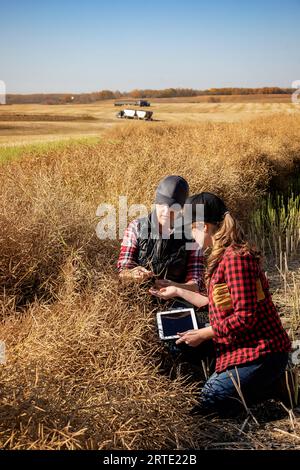 Une agricultrice assise dans les champs enseignant à son apprenti les techniques agricoles modernes pour les cultures de canola en utilisant les technologies sans fil et agriques... Banque D'Images