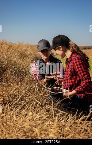 Une agricultrice assise dans les champs enseignant à son apprenti les techniques agricoles modernes pour les cultures de canola en utilisant les technologies sans fil et agriques... Banque D'Images