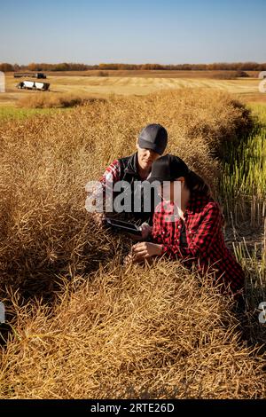 Une agricultrice assise dans les champs enseignant à son apprenti les techniques agricoles modernes pour les cultures de canola en utilisant les technologies sans fil et agriques... Banque D'Images