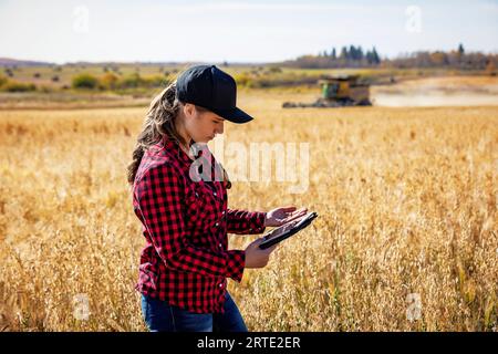 Une jeune femme de ferme debout dans un champ au moment de la récolte inspectant le grain, en utilisant des technologies de logiciel agricole avancées sur un pad, tandis qu'un... Banque D'Images