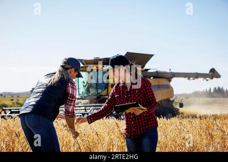 Une femme agricole mature debout dans un champ travaillant avec une jeune femme à la récolte inspectant le grain et utilisant un logiciel agricole avancé sur... Banque D'Images