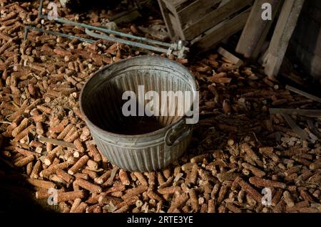 Des épis de maïs en décomposition entourent un seau en métal dans une ancienne grange ; Dunbar, Nebraska, États-Unis d'Amérique Banque D'Images