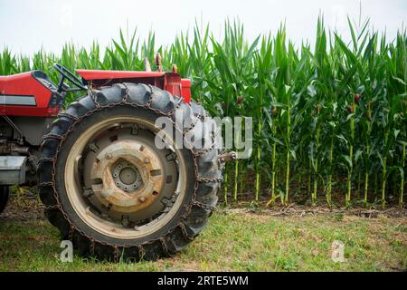 Tracteur devant un champ de maïs ; Walton, Nebraska, États-Unis d'Amérique Banque D'Images