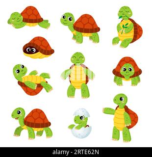 Personnages de tortue de dessin animé. Mignon vecteur animal tortue jeu de personnages souriants. Dormir, manger des feuilles, se cacher dans la coquille enfants tortue drôle, nouveau-né tortue drôle, bébé reptile dans l'œuf Illustration de Vecteur