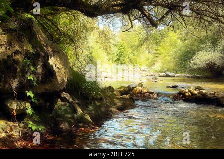 Pittoresque rivière ombragée backwater de la rivière de montagne Alando avec de grands rochers mousseux. Banque D'Images