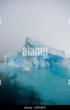 Glace bleue sur la péninsule antarctique au bord de la baie antarctique ; péninsule antarctique, Antarctique Banque D'Images