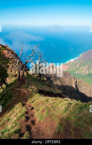Vue panoramique sur un chemin de randonnée le long du Kalalau Trail sur les falaises verdoyantes de montagne couvertes de la côte de Napali, donnant sur les eaux calmes et bleues... Banque D'Images
