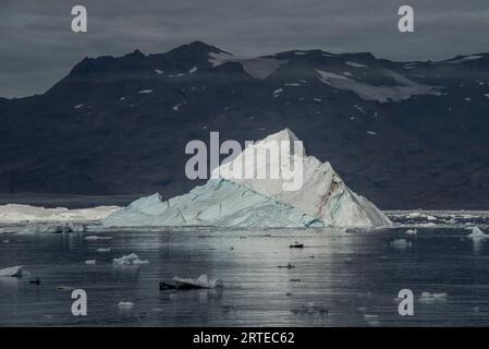 Icebergs ensoleillés flottant dans les eaux glaciaires du fjord de Nansen avec la crête montagneuse silhouette en arrière-plan sous un ciel gris et nuageux Banque D'Images