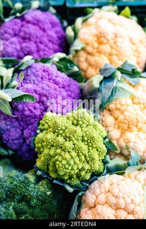 Chou-fleur blanc et violet, brocoli et romanesco au marché Banque D'Images