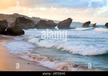 Vue panoramique sur les piles de la mer avec de grandes vagues, les vagues de l'océan s'écrasant contre les rochers à la plage de Bathsheba au crépuscule Banque D'Images