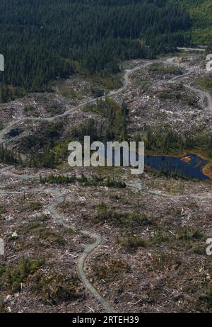 Routes forestières à travers une coupe dégagée sur l'île Prince of Wales, Alaska, États-Unis ; île Prince of Wales, Alaska, États-Unis d'Amérique Banque D'Images
