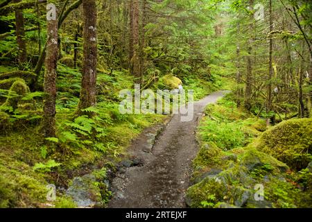 Sentier East Glacier Loop au glacier Mendenhall à Juneau, Alaska, États-Unis ; Juneau, Alaska, États-Unis d'Amérique Banque D'Images