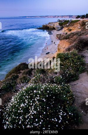 Côte Pacifique bordée de falaises de San Diego au crépuscule ; San Diego, Californie, États-Unis d'Amérique Banque D'Images
