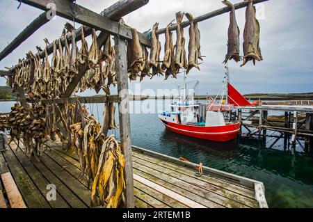 Séchage de la morue dans le village de pêcheurs de Lovund ; île de Lovund, Norvège Banque D'Images