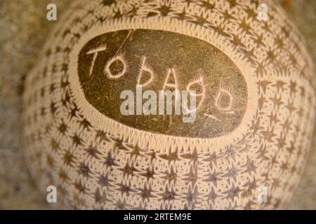 Mot 'Tobago' sculpté dans une coquille de noix de coco comme souvenir ; Tobago, République de Trinité-et-Tobago Banque D'Images