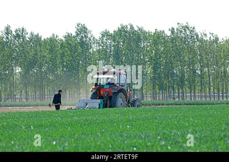 COMTÉ de LUANNAN, province du Hebei, Chine - 5 mai 2019 : les agriculteurs conduisent des tracteurs pour travailler dans les champs. Banque D'Images