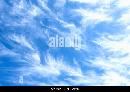 Nuages blancs Cirrus uncinus contre bleuté Banque D'Images