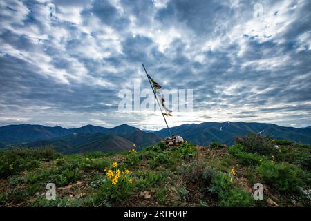 États-Unis, Idaho, Hailey, drapeaux de prière et Balsamroot Arrowleaf (Balsamorhiza sagittata) sur carbonate Mountain Banque D'Images