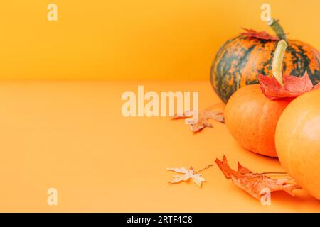 Trois citrouilles mûres de différentes couleurs avec des feuilles d'érable sèches sur un fond orange Banque D'Images