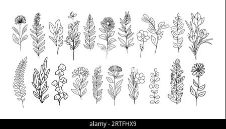 Ensemble de minuscules fleurs sauvages et de plantes au trait d'art. Illustration de Vecteur